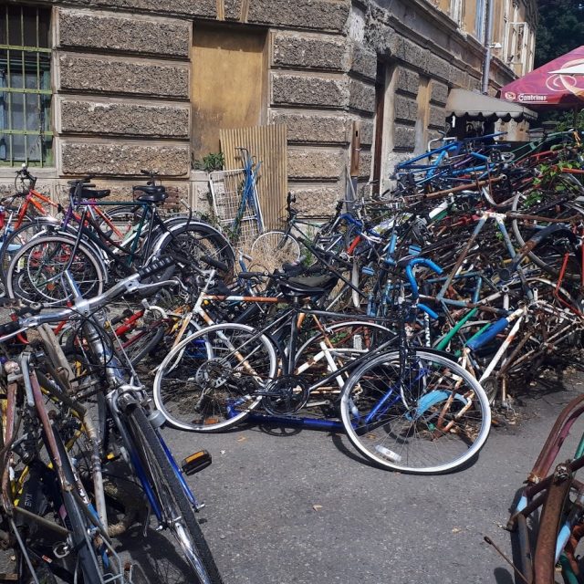 Nymburská cyklo-zahrádka | foto: Barbora Kvapilová,  Český rozhlas