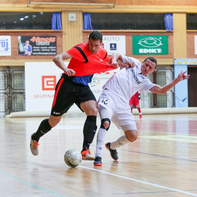 Futsal v Českých Budějovicích. Ilustrační foto | foto: David Peltán,  MAFRA / Profimedia