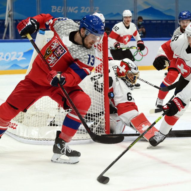 Jiří Smejkal v zápase proti Švýcarsku | foto: Annegret Hilse,  Reuters