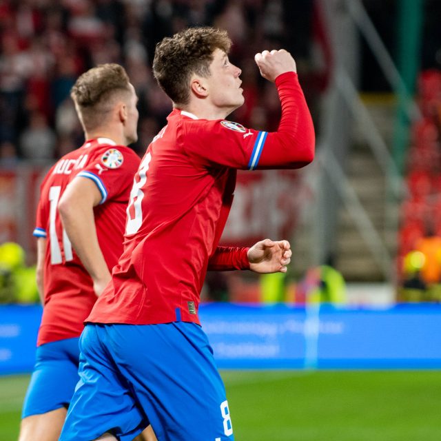 Ladislav Krejčí mladší v reprezentačním dresu | foto: Andrew Surma,  Reuters