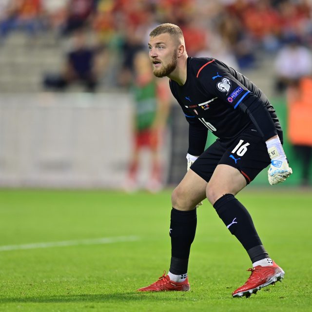 Jindřich Staněk v národním týmu | foto: Pavel Mazáč / CNC / Profimedia