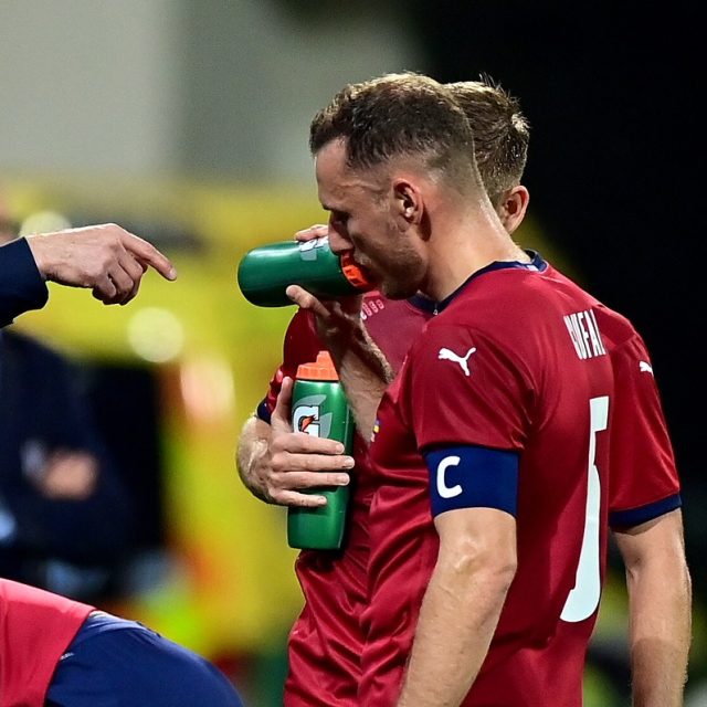 Družina kolem trenéra Jaroslava Šilhavého se pokusí přes baráž postoupit na fotbalové MS | foto: Profimedia