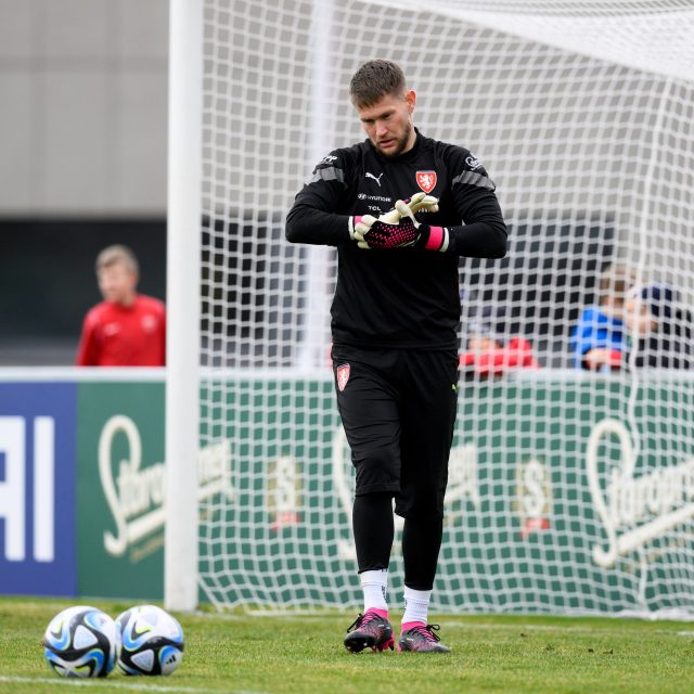 Brankář české fotbalové reprezentace Tomáš Vaclík | foto: Vlastimil Vacek,  Právo/Profimedia