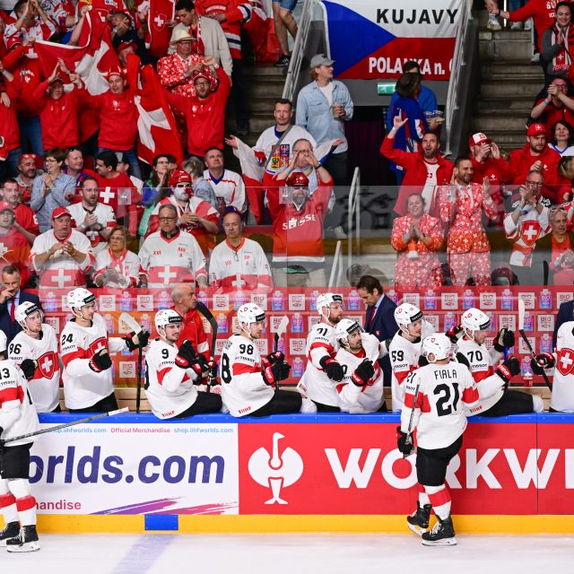 Švýcaři slaví vstřelenou branku v zápase proti Česku | foto: David Taneček,  ČTK