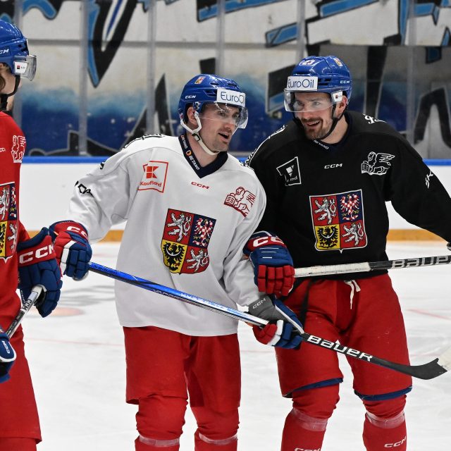 Čeští hokejisté David Tomášek,  Jakub Flek a Jan Rutta na tréninku reprezentace | foto: Václav Šálek,  Profimedia
