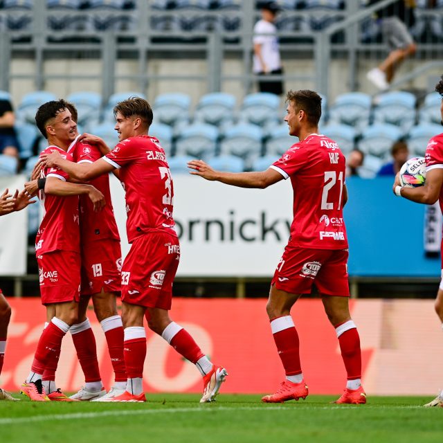 Fotbalisté Pardubic se radují z gólu v zápase proti Českým Budějovicím | foto: Václav Pancer,  ČTK
