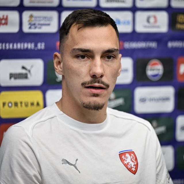 Brankář Martin Jedlička se dočkal premiérové nominace do reprezentačního A-týmu před zápasy Ligy národů proti Albánii a Ukrajině | foto: Vít Šimánek,  ČTK