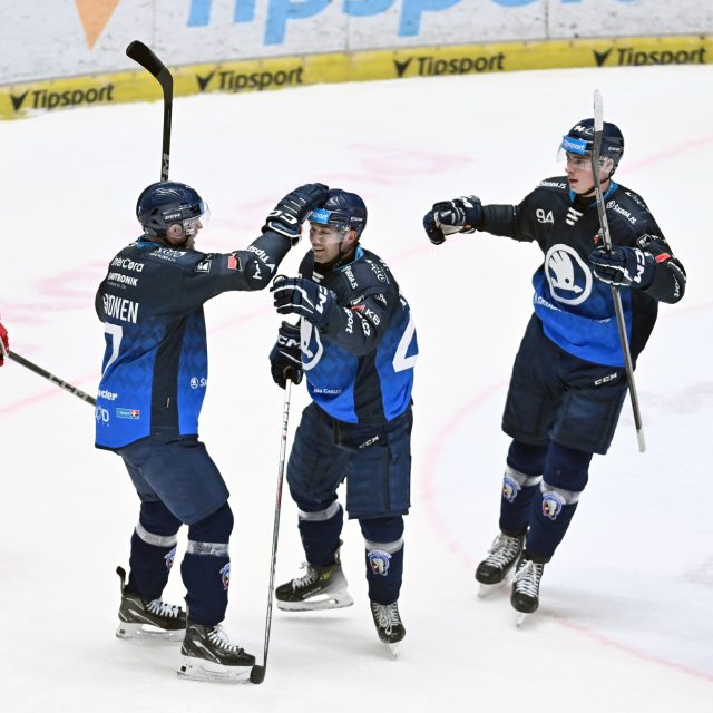 Hokejisté Plzně se radují ze vstřeleného gólu do sítě Pardubic | foto: Michal Beránek / CNC / Profimedia