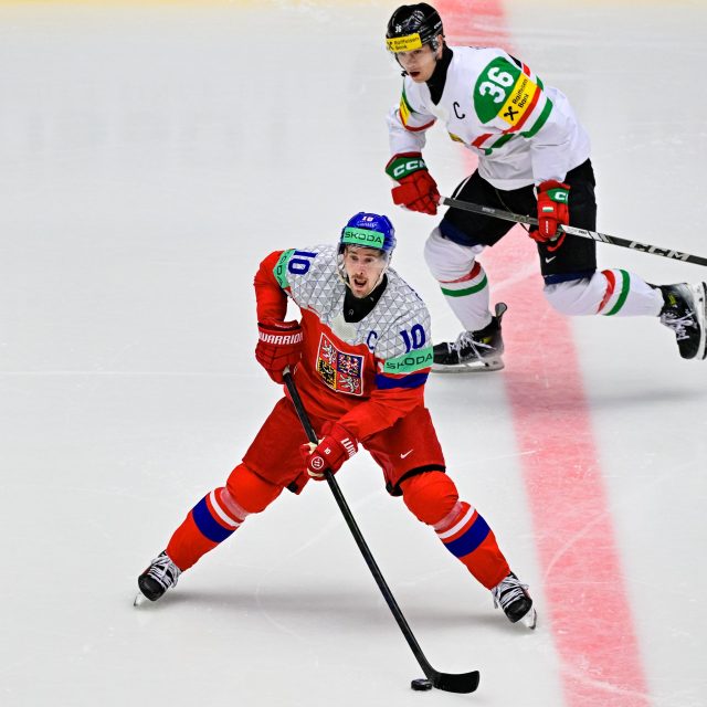 Roman Červenka v utkání proti Maďarsku | foto: Vít Šimánek,  Profimedia