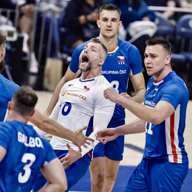 Volejbalisté porazili na mistrovství světa Turecko a slaví postup do čtvrtfinále | foto: Profimedia