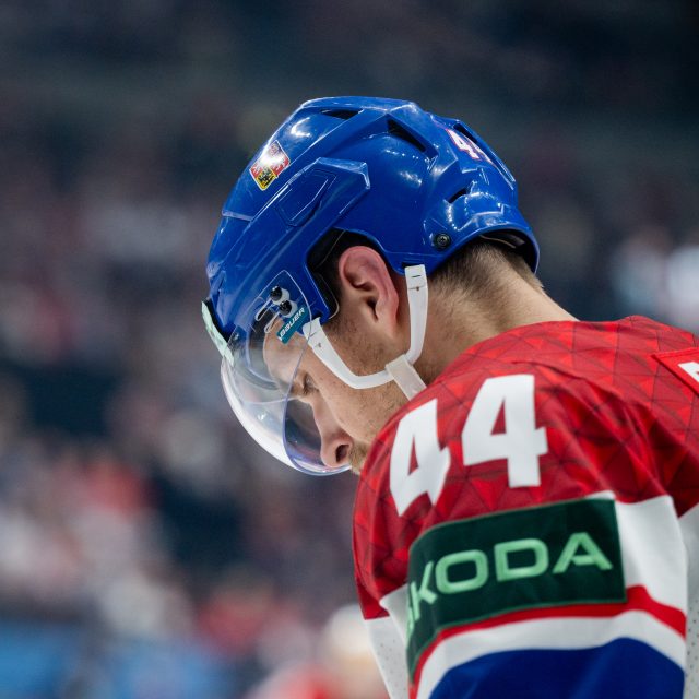 Český obránce Jan Rutta na světovém šampionátu v zápase proti Švýcarsku | foto: Zuzana Jarolímková,  iROZHLAS.cz