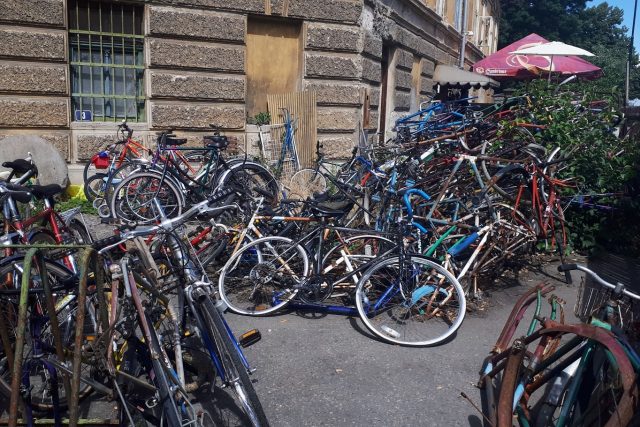 Nymburská cyklo-zahrádka | foto: Barbora Kvapilová,  Český rozhlas