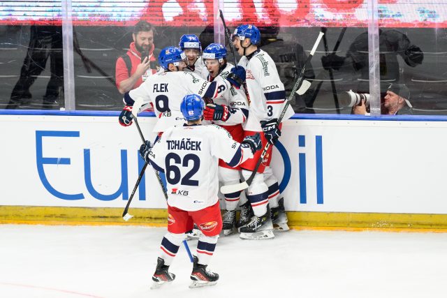Čeští hokejisté na Švýcarských hokejových hrách poprvé v sezoně prohráli | foto: Vlastimil Vacek,  Profimedia
