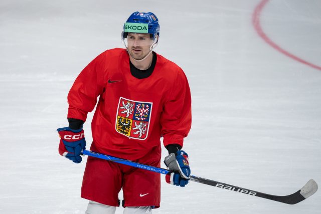 Český hokejový útočník Jakub Flek | foto: Zuzana Jarolímková,  iROZHLAS.cz