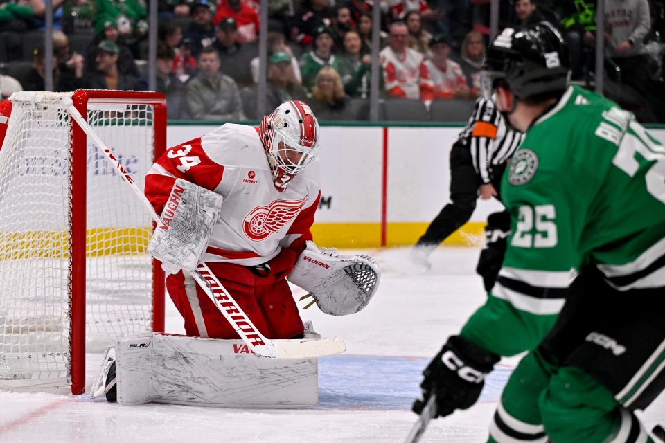 Matěj Blümel  (25) dal v NHL gól po více než dvou letech a pomohl Dallasu k výhře 4:1 nad Detroitem. | foto: Reuters