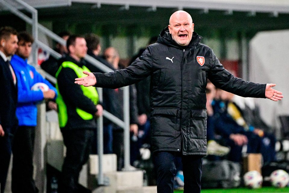 Trenér fotbalové reprezentace Ivan Hašek | foto: Vít Šimánek,  ČTK